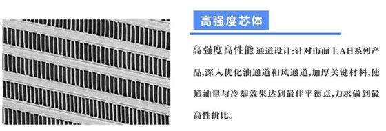 睿佳風(fēng)冷卻器芯體翅片細(xì)節(jié)圖 睿佳風(fēng)冷卻器芯體翅片細(xì)節(jié)圖