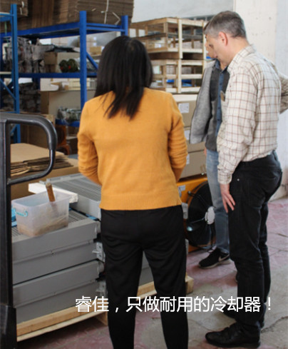 外國(guó)客戶參觀睿佳冷卻器裝配車間