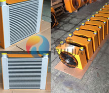 【山東客戶】定做新款風(fēng)冷卻器RJ-355